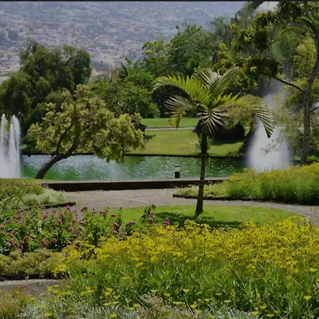 Nest * Funchal (Madeira)