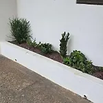 Nest
