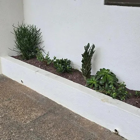Nest