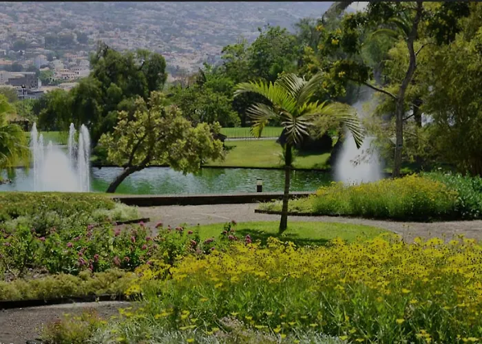 Nest * Funchal (Madeira)